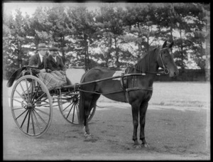 Two unidentified men sitting in a buggy that is harnessed to a horse, probably Christchurch district