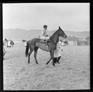 Jockeys and horses at the Trentham Racecourse Winter meeting, Upper Hutt