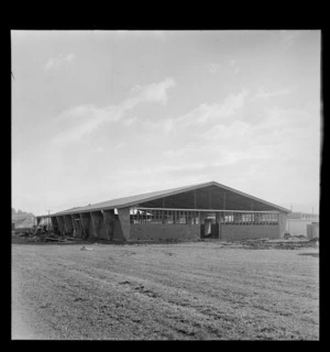 Construction of the Sports Club Gym at Naenae, Lower Hutt