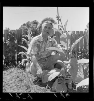 Mr R H Wicks with a tobacco plant, Karori, Wellington