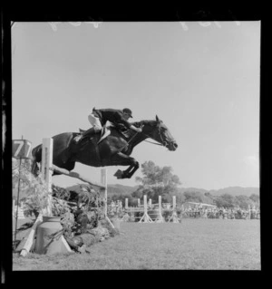 Horse clearing a hurdle at Trentham Racecourse, Upper Hutt