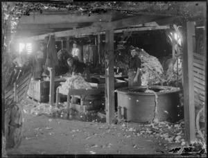Workers in a woolshed, [Hastings]