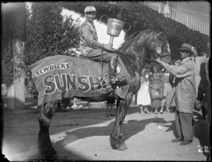 Racehorse with 'Newrick's Sunshine' covering and jockey with cup, racecourse official holding the reins, Hastings, Hawke's Bay District