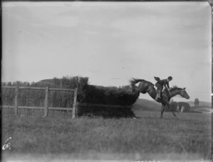 A horse jumping at the Autumn Show, probably Hastings