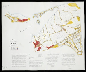 Plan of the town of Napier [cartographic material].