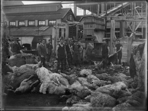 A group of unidentified men with sheep carcasses, location unidentified