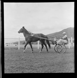 Trotting at Hutt Park Raceway, Gracefield, Lower Hutt, Wellington Region, featuring unidentified driver, sulky, and horse