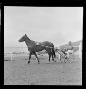 Trotting at Hutt Park Raceway, Gracefield, Lower Hutt, Wellington Region, featuring unidentified driver, sulky, and horse