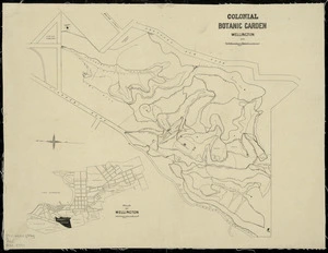 Colonial Botanic Garden, Wellington [cartographic material] / drawn by John Buchanan.