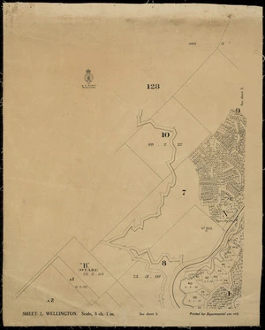 Wellington [cartographic material].