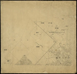 [Wellington city cadastral map] [cartographic material].