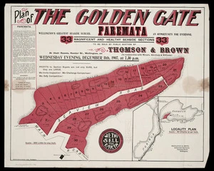 Plan of the Golden Gate, Paremata [cartographic material] / Middleton & Smith, surveyors.