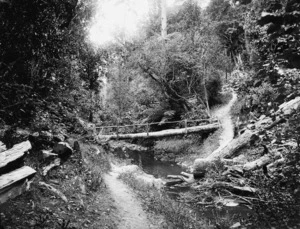 Bridge across a stream in Wilton's Bush, Wadestown, Wellington