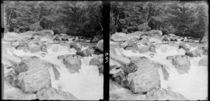 White rapids in a stream in beech forest, unknown location