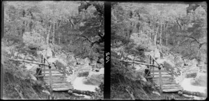 Unidentified man standing on a boardwalk in a beech forest beside a stream, unknown location