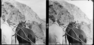 View from carriage of the horses' backs and a steep gorge, [Skippers Canyon, Central Otago?]