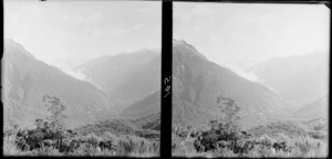 A densely forested valley surrounded by mountains, [Fiordland National Park, Southland District?]
