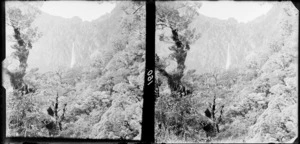 View of the top of a waterfall and mountain wall, [Sutherland Falls, Milford Sound, Southland District?], partly obscured by the canopy of a beech forest