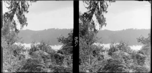 View of a lake, partly obscured by ferns and shrubs in the immediate foreground, [Lake Wakatipu, Queenstown - Lakes District?]