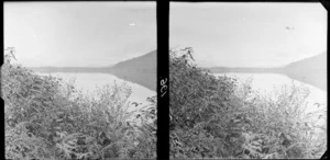 View of a lake, [Lake Wakatipu, Queenstown - Lakes District?], partly obscured by ferns and shrubs in the immediate foreground