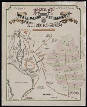 Plan of small farm settlements, Wainui-o-mata, Lowry Bay district / [surveyed by] D.P. Davies.