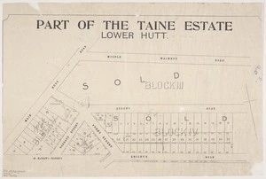 Part of the Taine estate, Lower Hutt.