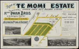 Plan of Te Momi estate, opposite Lower Hutt railway station / Meason & Marchant, civil engineers.