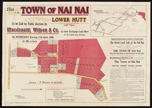 Plan of the town of Nai Nai, Lower Hutt / surveyed by Thomas Ward.