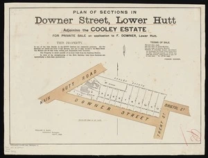 Plan of sections in Downer Street, Lower Hutt, adjoining the Cooley estate   / surveyed by William S. Buck.