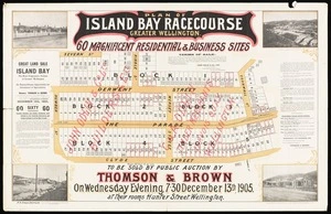 Plan of Island Bay, Racecourse, greater Wellington : 60 magnificent residential & business sites / vendors John Odlin & Co. Ltd.