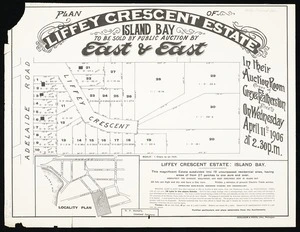 Plan of Liffey Crescent estate, Island Bay / H.P. Hanify, surveyor.