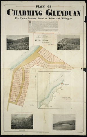 Plan of charming Glenduan [cartographic material] : the future summer resort of Nelson and Wellington / Alex. Ferguson, litho.