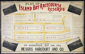 Plan of Island Bay, Racecourse Reserve [cartographic material] : subdivided into 253 building sections.
