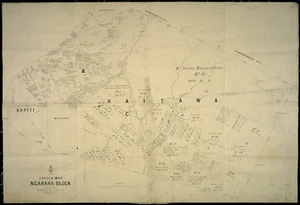 Sketch map, Ngarara Block [cartographic material] / R.B. Bristed, surveyor, April 1890.