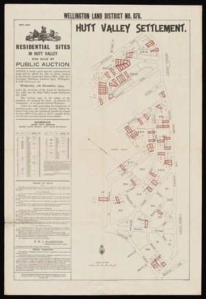 Wellington land district. No. 876, Hutt Valley settlement.