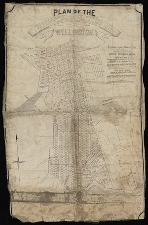 Plan of the township of Island Bay, Wellington : Tuesday 25th March 1879, important sale of choice building sites at Island Bay / J.N. Coleridge, surveyor; J.H. Bethune & Co.