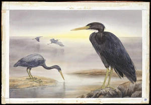 Daff, Lily Attey, 1885-1945 :Blue heron. [ca 1933]