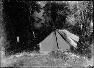 View of a tent in bush