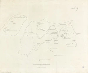 [Chart of New Zealand drawn by Tooke-Titter-a-nui Wari-pedo, a priest of that country who resided on Norfolk Islands 6 months] [cartographic material].