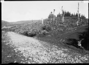 Junction of two roads, Te Mata, near Raglan, 1910 - Photograph taken by Gilmour Brothers