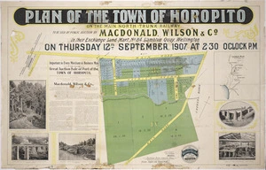 Plan of the town of Horopito [cartographic material] : on the main north trunk railway line / John Annabell, Licd surveyor.