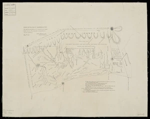 Rough sketch plan of Tauranga District [cartographic material] / James MacKay, junior.