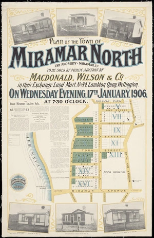 Plan of the town of Miramar North, the property of Miramar Ltd. [cartographic material] : sixty-three of the finest villa sites and six first-class family cottages.
