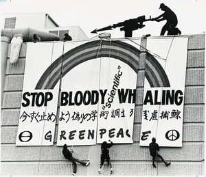 Greenpeace members protesting against whaling - Photograph taken by Auckland Star