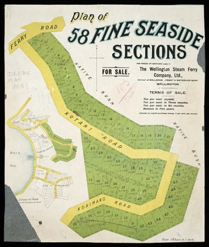 Plan of 58 fine seaside sections for sale [cartographic material] : [town of Ferryside]