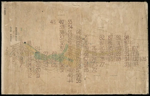 City of Wellington [cartographic material] / Thomas Ward, authorised surveyor ; Walter Leslie, litho. draftsman.