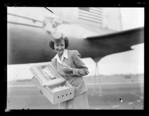Stewardess, Mrs McFarland, with baby chicks, PAWA (Pan Am World Airways)