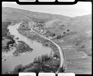 View of Roxburgh, Central Otago, within the Clutha River Valley, showing Scotland Street (State Highway 8) through town with stone fruit orchard foreground and pine plantation across river from town
