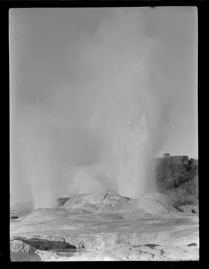 Te Whakarewarewa Thermal Valley, Rotorua, showing Pohutu Geyser in full eruption