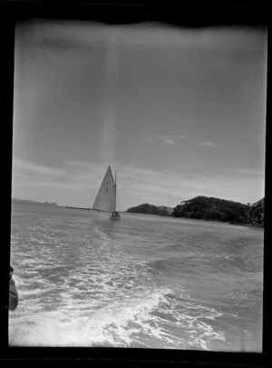 Yachting, Bay of Islands